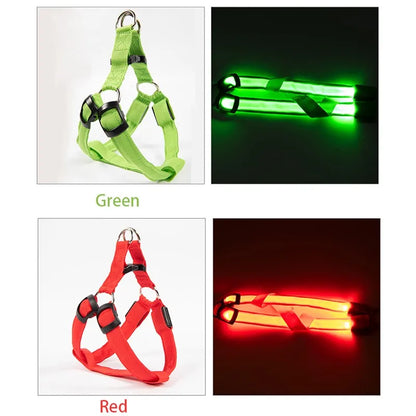 Pet Supplies Nylon Pet Safety LED Harness Dog Product Adjustable Flashing Light Harness Leash Rope Belt Collar Vest For Dogs Pet