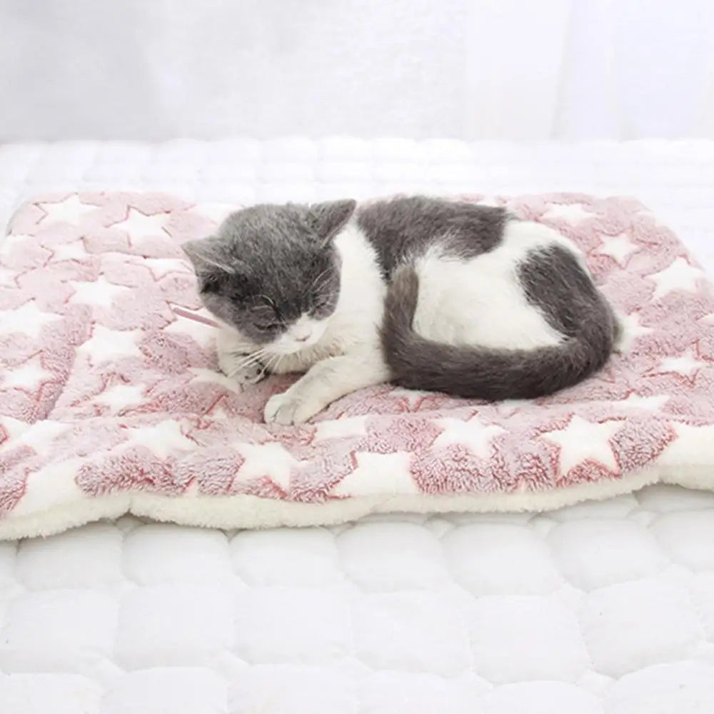 Pet Soft Pet Blanket Winter Dog Cat Bed Mat Foot Print Warm Sleeping Mattress Small Medium Dogs Cats Coral Fleece Pet Supplies