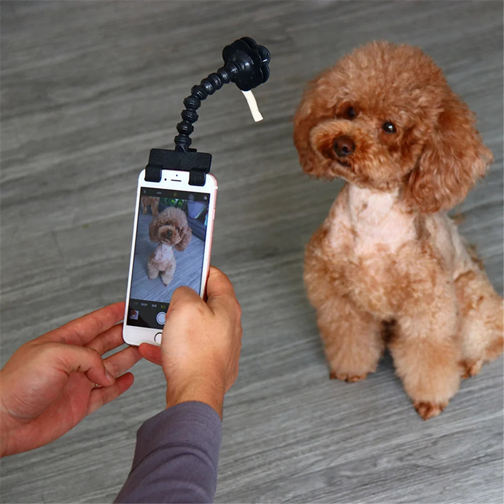 Pet Selfie Stick,Flexible Dog Selfie Stick Cat Photo Interactive Toy Accessories Holder For Cat Dog Bath Captivate Attention