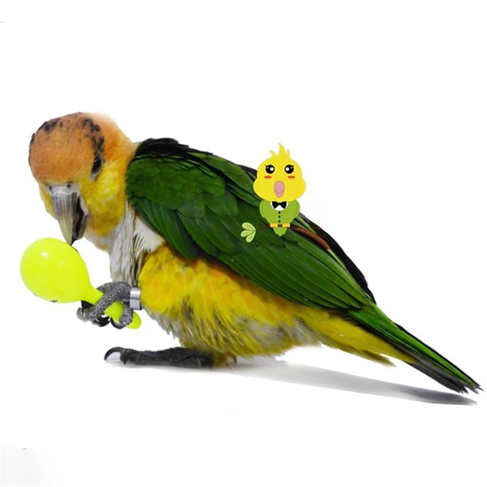 3PCS Parrot Rattle Sand Hammer Sand Ball Bird Bites Wisdom Interactive Training Toys Pet Accessories Bird Toys