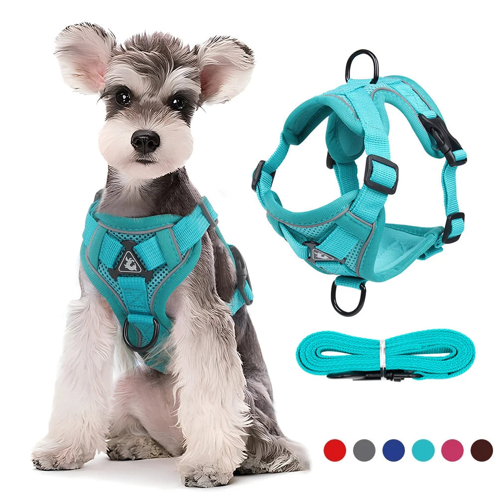 No Pull Dog Harness and Leash Set, Adjustable Pet Harness Vest for Small Dogs Cats, Reflective Dog Chest Strap Lead Walking