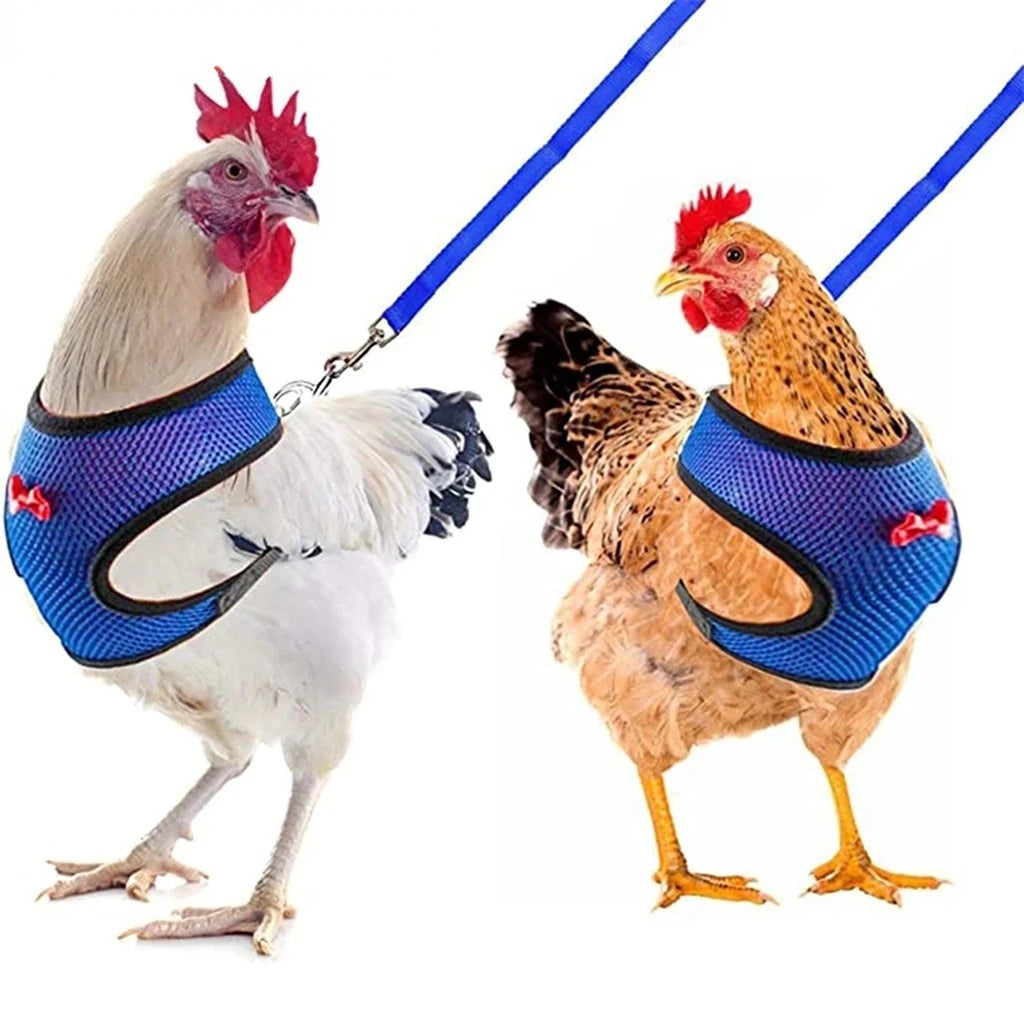 Pet Duck Chicken Poultry Chicken Clothes Chicken Vest Hen Belt Pet Harness Matching Collars Bow Poultry Supplies