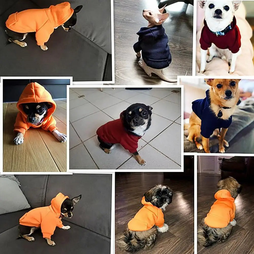 Puppy Pet Hooded Sweatshirt Autumn Winter Two-legged Pocket Cat Dog Clothes