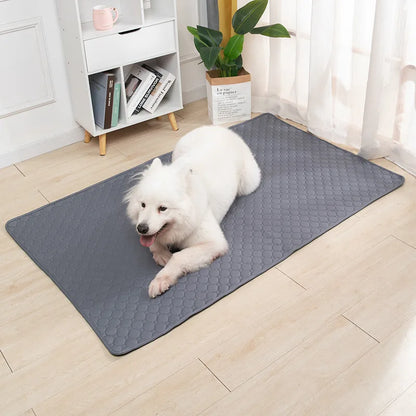 Dog Pee Pad Blanket Reusable Highly Absorbent Diaper Washable Puppy Training Pad Pet Bed Urine Mat for Pet Car Seat Cover