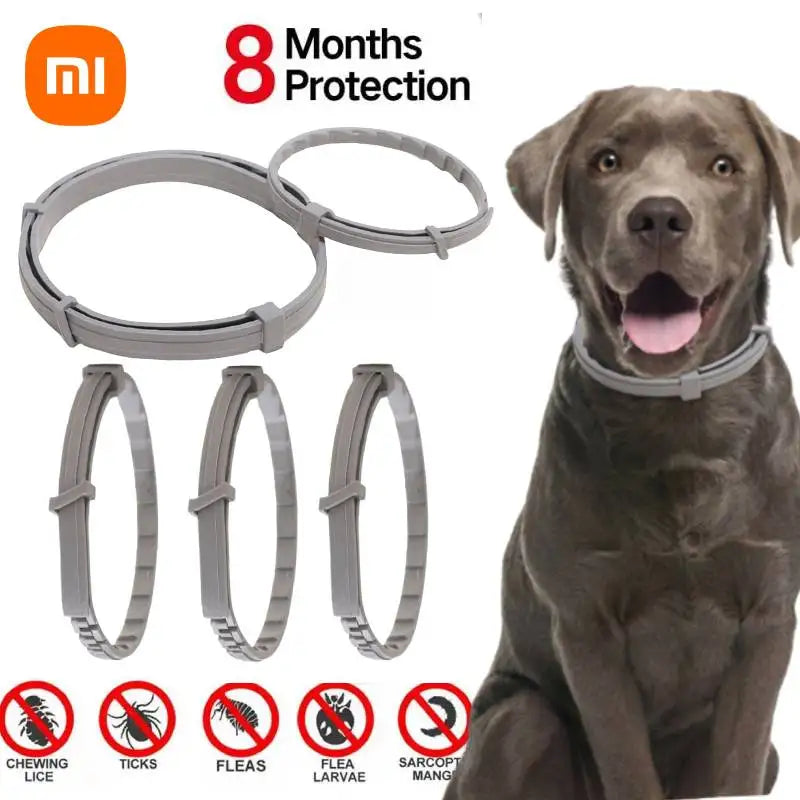 Xiaomi Dog Anti Flea And Ticks Cats Collar Pet 8Month Protection Retractable Pet Collars For Puppy Cat Large Dogs Accessories