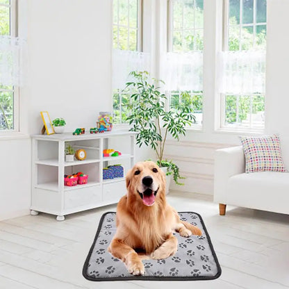 3-speed Adjustable Heating Pad For Dog Cat Power-off Protection Pet Electric Heated Warm Mat Bed Waterproof Bite-resistant Wire