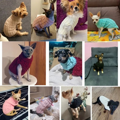 Pet Clothing New Autumn and Winter Warm Pet Turtleneck Sweater Coat Soft Casual Puppy Clothes Woolly T-Shirt Pet Supplies 2023