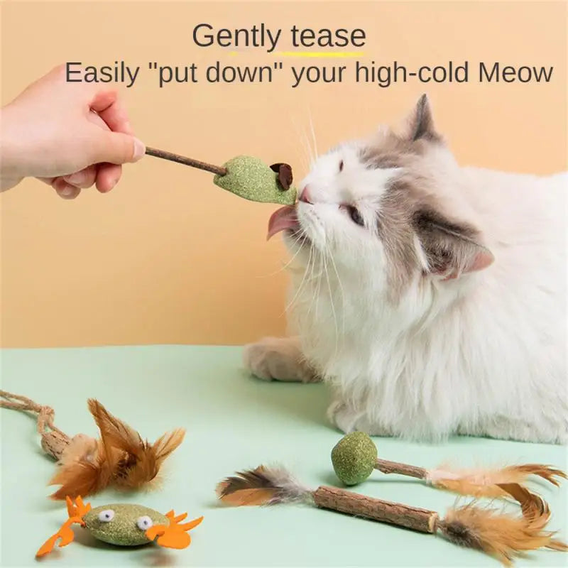 Pet Catnip Toys Edible Catnip Ball Healthy Cat Mint Cats Household Chasing Game Toy Products Cleaning Teeth Pet Toy Supplies