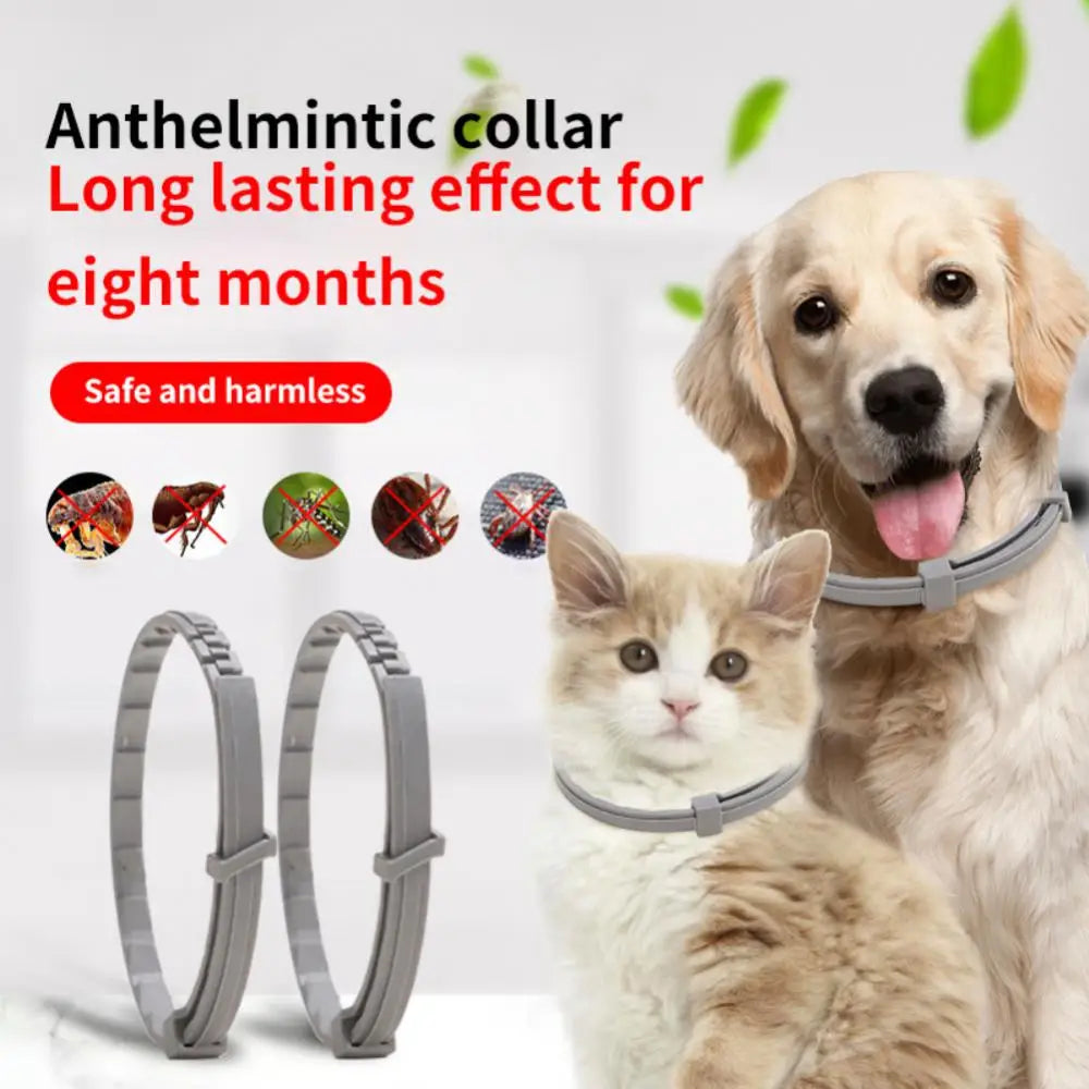 Xiaomi Dog Anti Flea And Ticks Cats Collar Pet 8Month Protection Retractable Pet Collars For Puppy Cat Large Dogs Accessories