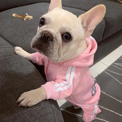 New Pet Dog Clothes Spring Dog Hoodies Coat Letter Cute Small Dogs Chihuahua Pug Yorkshire Puppy Pet Hoodie Cat Clothing XXL