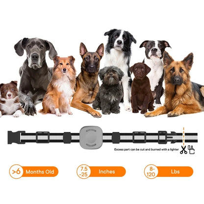 Remote Control Dogs Training Collar LED Light Pet Outdoor Garden Yard Rechargeable Training Dogs Anti-Bark Collar