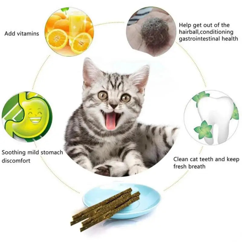 6 Sticks Natural Cat Mint Sticks Cat Catnip Chews Toys Pet Molar Sticks Kittens Cleaning Teeth Bite-resistant Toys Pet Products