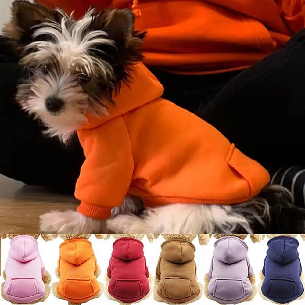 Puppy Pet Hooded Sweatshirt Autumn Winter Two-legged Pocket Cat Dog Clothes