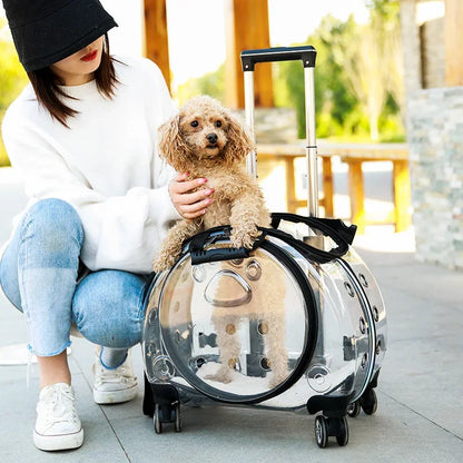 Pet Dog Cat Trolley Suitcase Luggage with Wheels Carrying Transparent Suitcase Breathable Pet Cat Carrier Backpack Pet Stroller