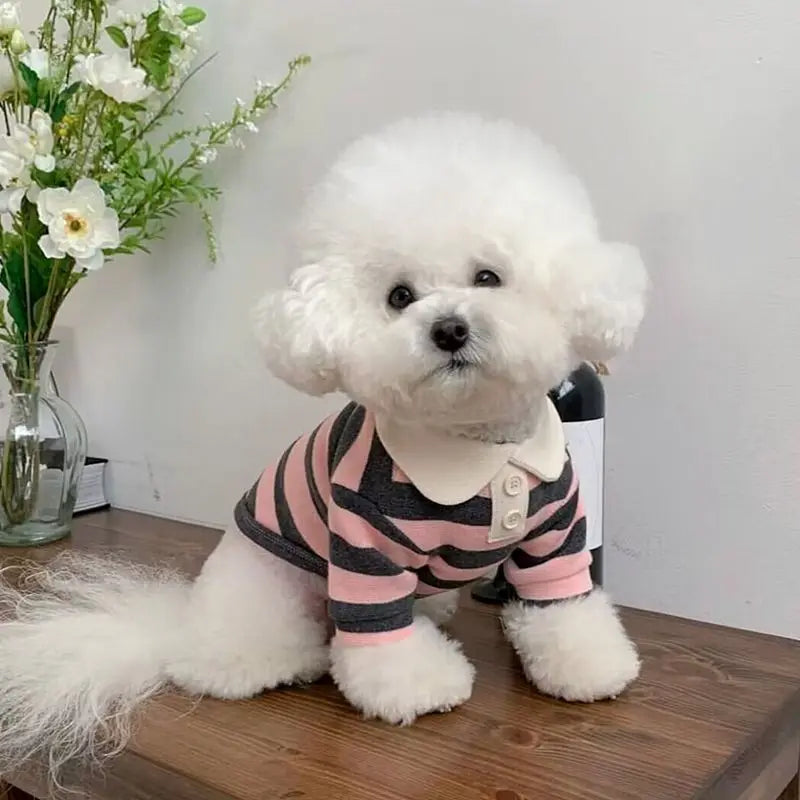 Dog Clothes Schnauzer Teddy York Shire Polo Shirt Summer Dress Striped Pet T-Shirt Dog Costume Soft Pullover Suit for Dog Puppy