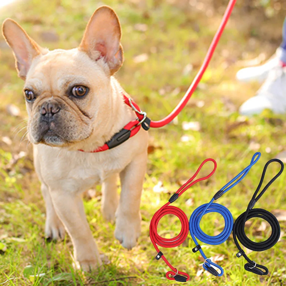 Slip Lead Dog Leash for Puppy Pet Small Dogs Training and Walking Nylon Rope Leash Anti-Choking P-sharped Dog Slip Chains Collar