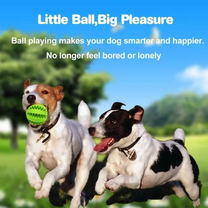 Toys for Dogs Rubber Dog Ball for Puppy Funny Dog Toys for Pet Puppies Large Dogs Tooth Cleaning Snack Ball Toy for Pet Products