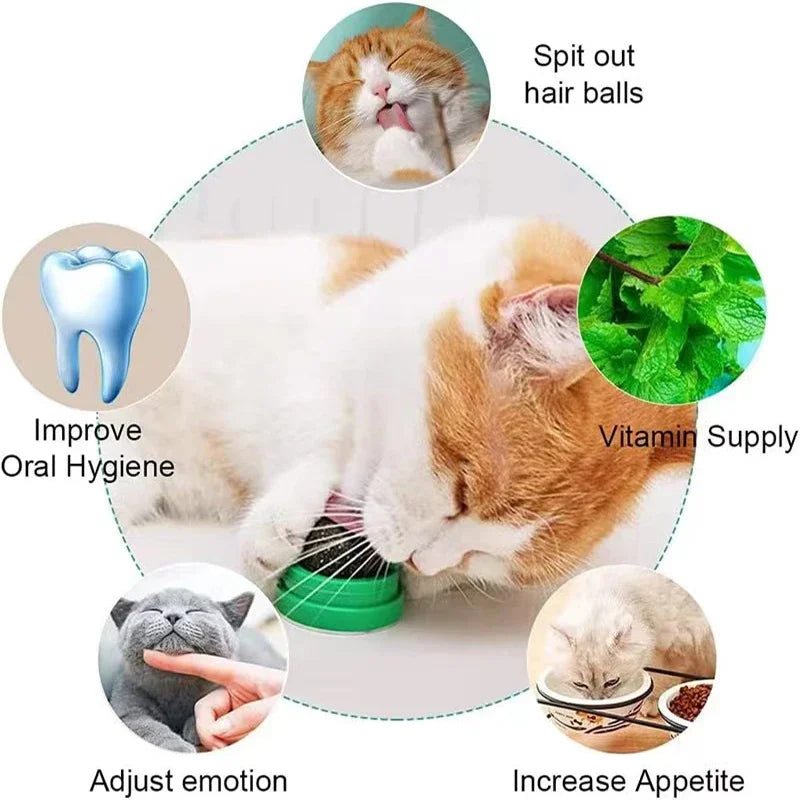 Catnip Cat Toys Wall Ball Clean Mouth Promote Digestion Pet Toys for Cats Kitten Candy Licking Snacks Mint Ball Cat Accessories