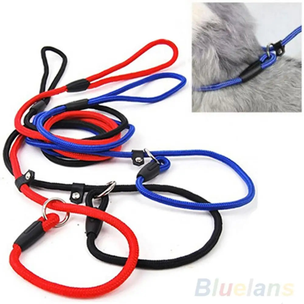 Pet Dog Nylon Rope Training Leash Slip Lead Strap Adjustable Traction Collar