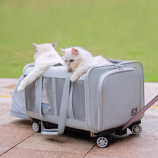 Detachable Pet Trolley Case Carrier Cats Dogs Bag Universal Large Expandable Cat Carrier with Wheels Double-layer Pet Carrier