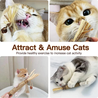 Cat Catnip Toy Cat Chew Toy Cat Kicking Silvervine Stick Teeth Cleaning Cute Kitten Teething Indoor Interactivecat Dental Care