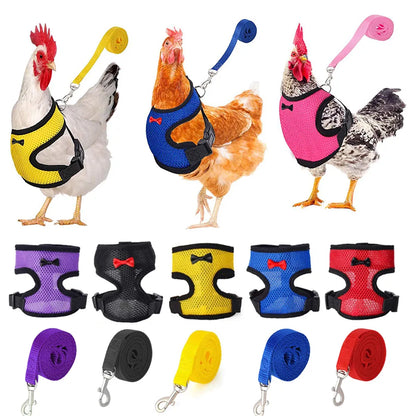 Pet Adjustable Harness Leash for Chicken Puppy Comfortable Breathable Pet Vest for Small Duck Goose Training Collars Accessories