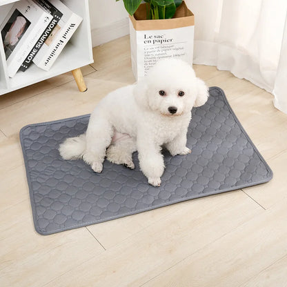 Dog Pee Pad Blanket Reusable Absorbent Diaper Washable Puppy Training Pad Pet Bed Urine Mat for Pet Car Seat Cover