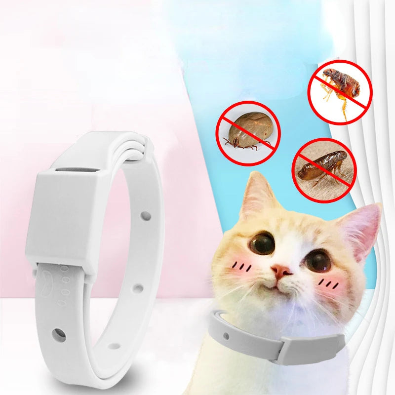 Silicone Anti Flea Tick Pet Collar cats Small Dogs Pet Collars Pet Accessories Supplies 8 Months Antiparasitic Protection