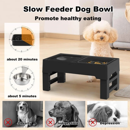 Adjustable 4-height elevated dog bowl Non-Slip Dog Bowl Stand with Non-Slip Water Dispenser and Slow Feeder To Protect Pet Spine