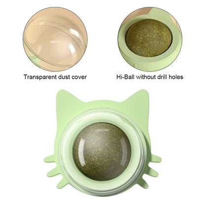 Catnip Wall Ball Cat Toys Pet Toys for Cats Clean Mouth Promote Digestion Kitten Candy Licking Snacks Mint Ball Cat Accessories