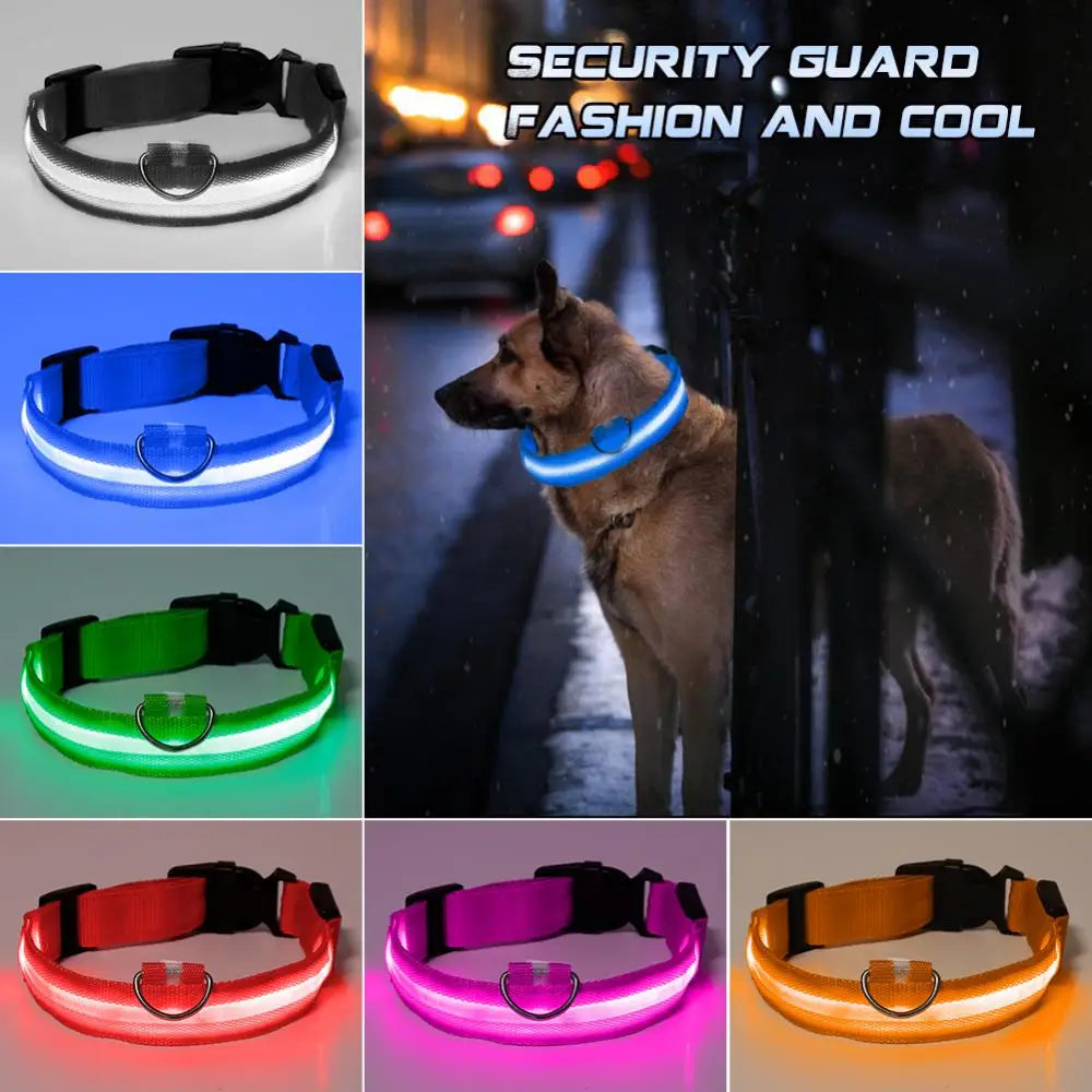 Nylon Pet LED Light Up Dog Leash Collar Night Safety Brand Flashing Adjustable Dog Supplies Collars, Harnesses & Leads Products