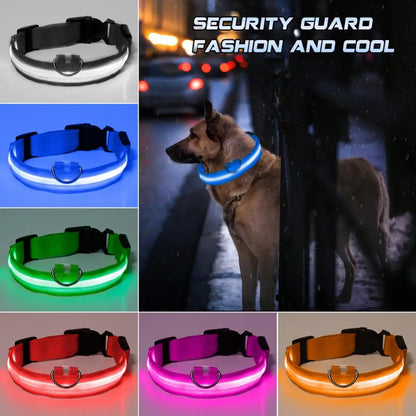 Nylon Pet LED Light Up Dog Leash Collar Night Safety Brand Flashing Adjustable Dog Supplies Collars, Harnesses & Leads Products