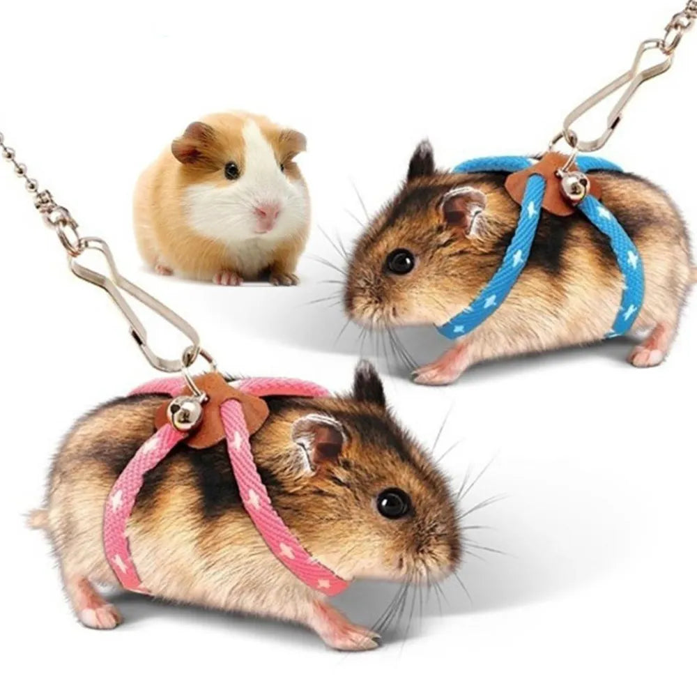 Pet Traction Rope Adjustable Soft Anti-Bite Training Rope Outdoor Flying Harness Leash With Bell For Bird Parrot Mouse Hamster