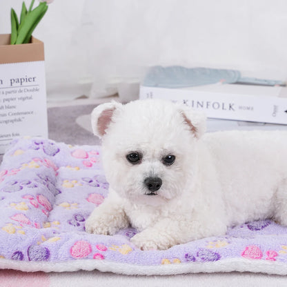 Dogs Bed Flannel Thickened Blanket Cushion Washable Dog Puppy Bed Accessories Medium Pet Large Basket Small Mat Warm Sofa Kennel