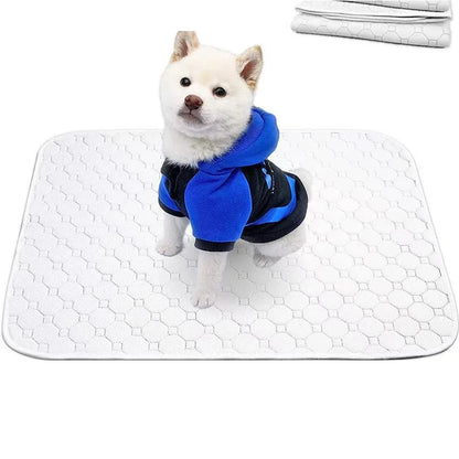 Pet urine pad washable and reusable, dog training, water absorbing and urine blocking pad, four layers of waterproof cat diaper